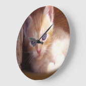 Katten Grote Klok (Hoek)