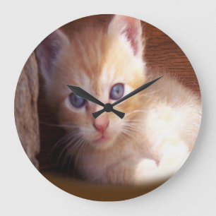 Katten Grote Klok