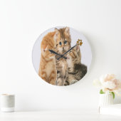 Katten Grote Klok (Huis)