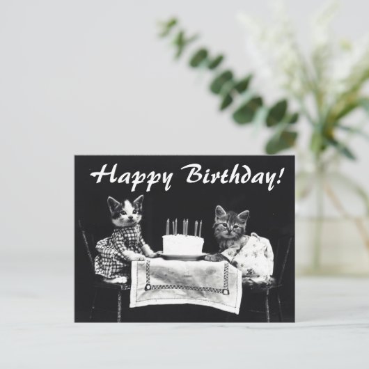  katten Happy Birthday Briefkaart (Staand voorkant)