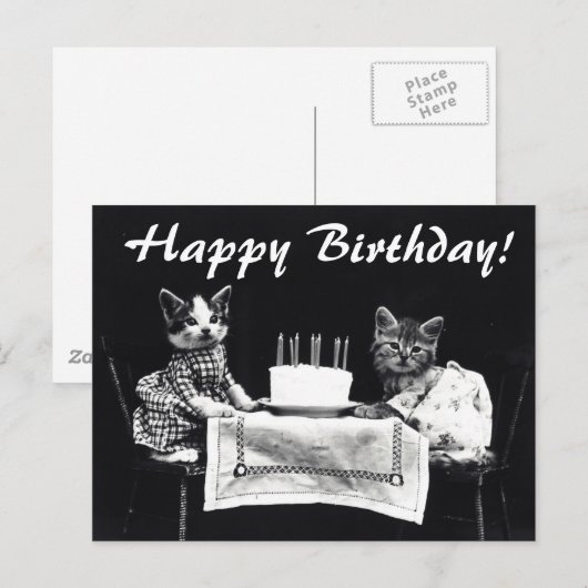  katten Happy Birthday Briefkaart (Voorkant / Achterkant)