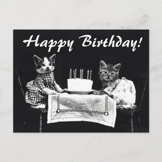  katten Happy Birthday Briefkaart (Voorkant)