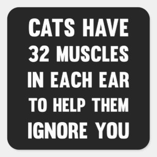 Katten hebben 32 spieren per oor... Funny Cats Vierkante Sticker
