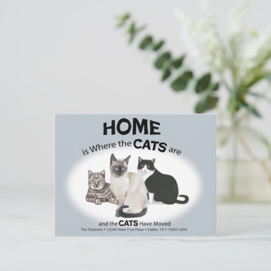 Katten hebben Briefkaart verplaatst (Staand voorkant)