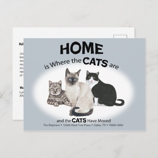 Katten hebben Briefkaart verplaatst (Voorkant / Achterkant)