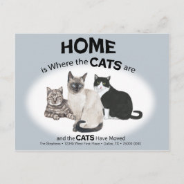 Katten hebben Briefkaart verplaatst