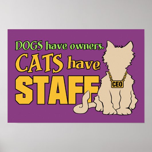 KATTEN HEBBEN poster VOOR PERSONEELSLEDEN (Voorkant)