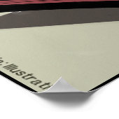 Katten heersen over alles, zelfs de pianoposter poster (Hoek)