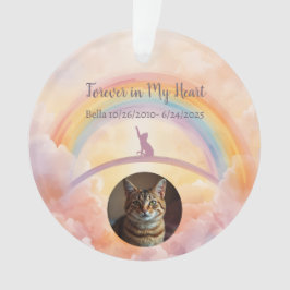Katten Herdenkingswaterverfschildering Regenboogbr Ornament