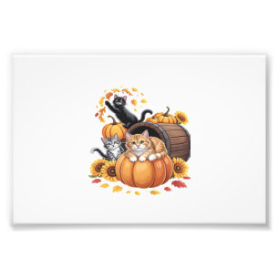 Katten Herfst Eikenpompoenen Thanksgiving Zonneblo Foto Afdruk