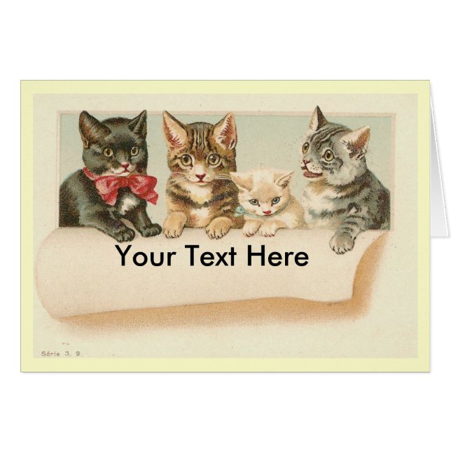  katten, hier Jouw tekst (Voorkant Horizontaal)