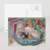 Katten & Holly Briefkaart (Voorkant / Achterkant)
