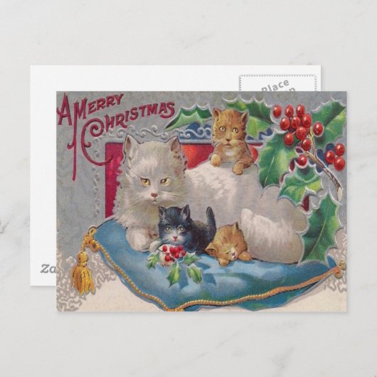 Katten & Holly Briefkaart (Voorkant / Achterkant)