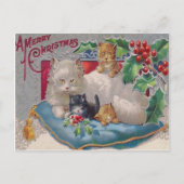 Katten & Holly Briefkaart (Voorkant)