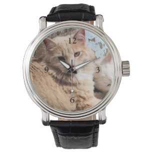 Katten Horloge