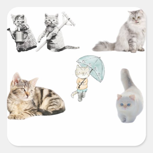 katten houden van geweldige katten vierkante sticker (Voorkant)