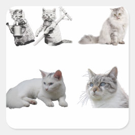 katten houden van geweldige katten vierkante sticker