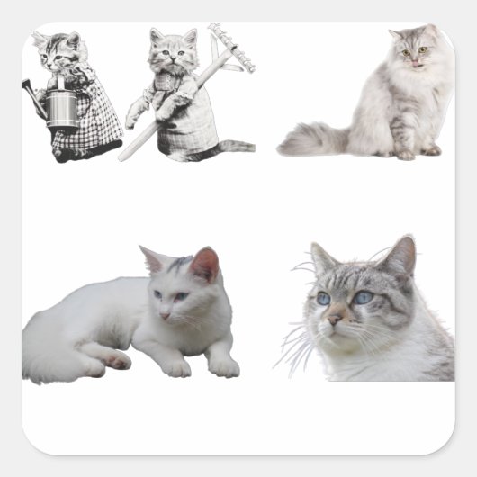 katten houden van geweldige katten vierkante sticker (Voorkant)