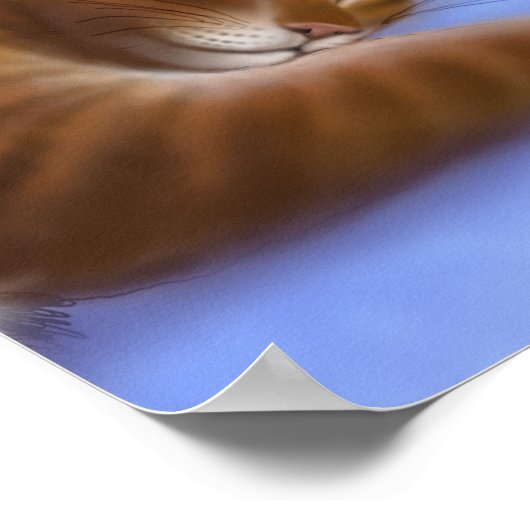 Katten houden van schoon wasgoed Poster (Hoek)