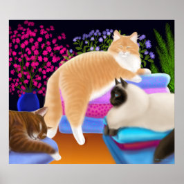 Katten houden van schoon wasgoed Poster