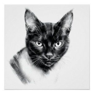 Katten Houtskool Perfect Poster