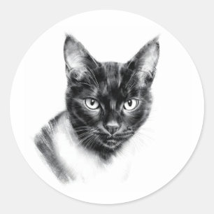Katten Houtskool Ronde Sticker