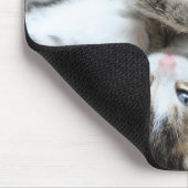 Katten, huisdieren, katers muismat (Hoek)