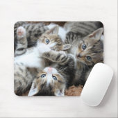 Katten, huisdieren, katers muismat (Met muis)