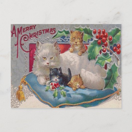 Katten & Hulst Briefkaart (Voorkant)