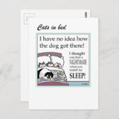 Katten in bed kaart (Voorkant / Achterkant)