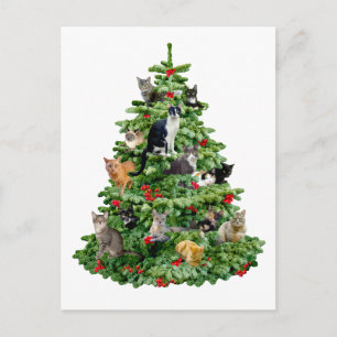 Katten in de boom briefkaart