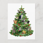 Katten in de boom briefkaart (Voorkant)