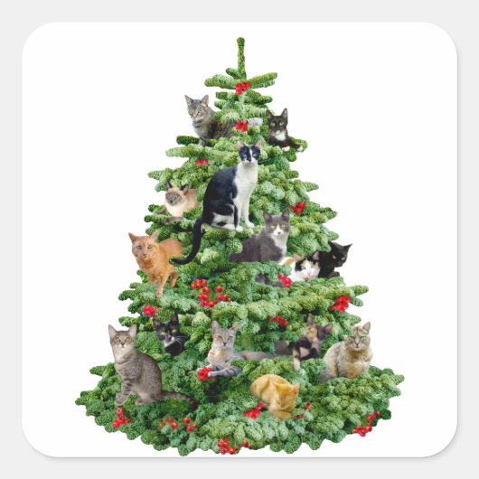 Katten in de boom vierkante sticker (Voorkant)