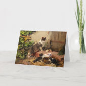 Katten in de melkschaal | Julius Adam de Jongere Kaart (Voorkant)