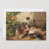 Katten in de melkschaal | Julius Adam de Jongere Kaart (Voorkant)