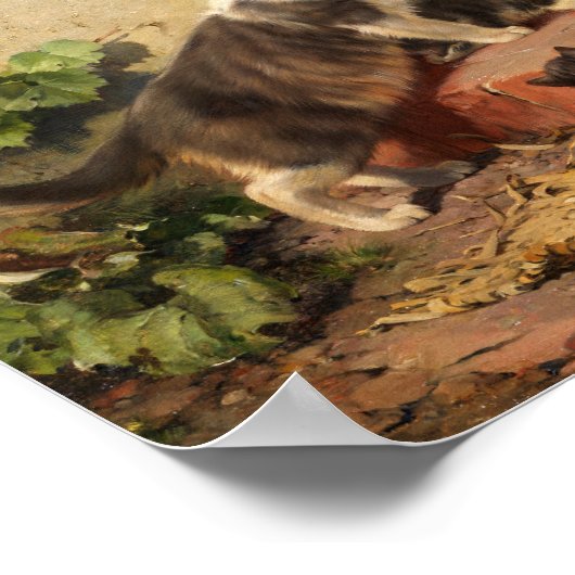 Katten in de melkschaal | Julius Adam de Jongere Poster (Hoek)