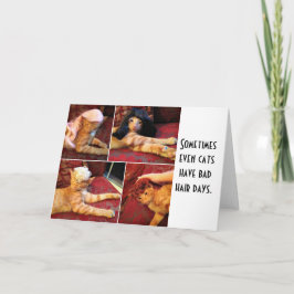 Katten in de miggen (blanco binnenin) kaart