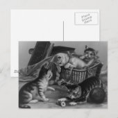 Katten in de naaiwand briefkaart (Voorkant / Achterkant)
