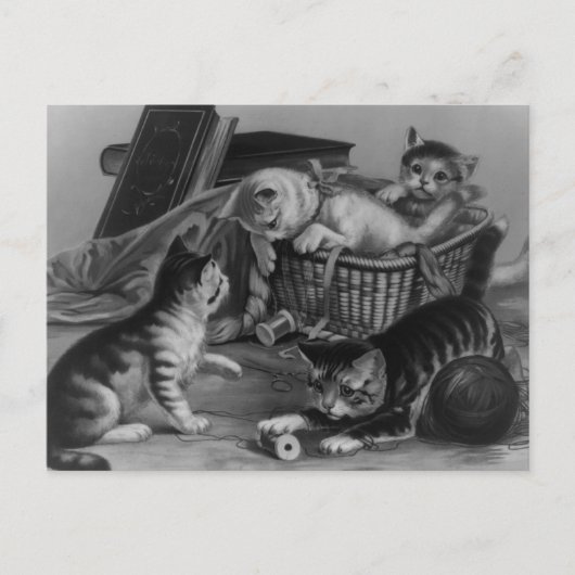 Katten in de naaiwand briefkaart (Voorkant)