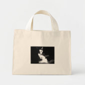 Katten in de tas (Voorkant)