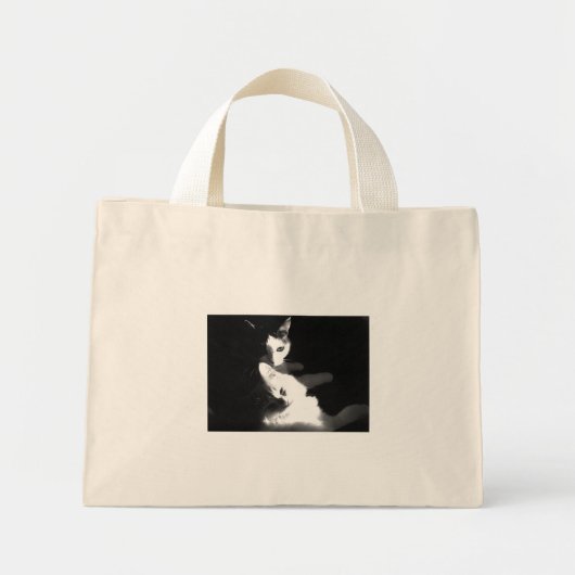 Katten in de tas (Voorkant)