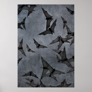 Katten in de troebele hemel poster