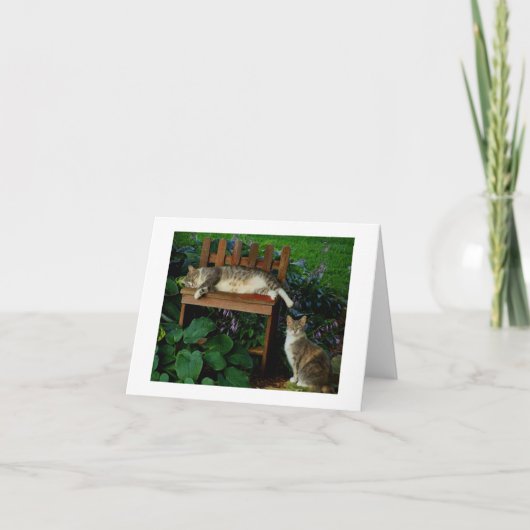 Katten in de Tuin Kaart (Voorkant)