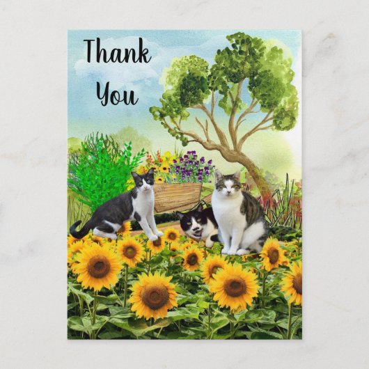 Katten in de tuin / Zonnebloem Hartelijk dank voor Briefkaart (Voorkant)