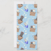 Katten in doos en melkdruppels op blauw (Achterkant)