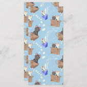 Katten in doos en melkdruppels op blauw (Voorkant / Achterkant)