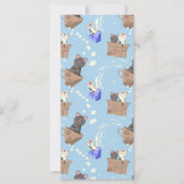 Katten in doos en melkdruppels op blauw (Voorkant)