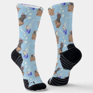 Katten in doos en melkdruppels op blauw sokken