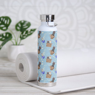 Katten in doos en melkdruppels op blauw waterfles