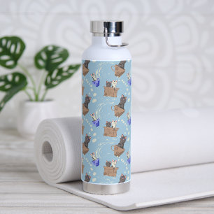 Katten in doos en melkdruppels op blauw waterfles